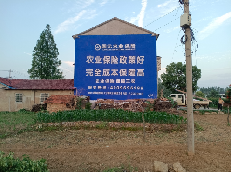  鹿邑墙体广告为何受追捧？